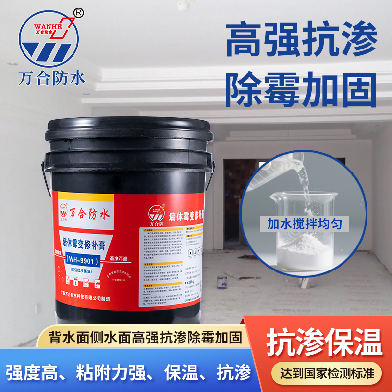 墙体霉变修补膏（WH-9901）